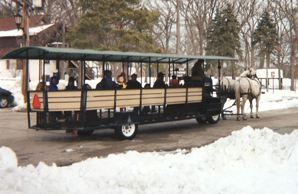 Large Wagon
