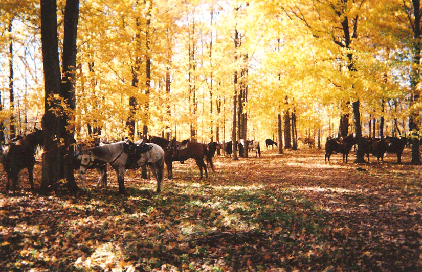 fall ride